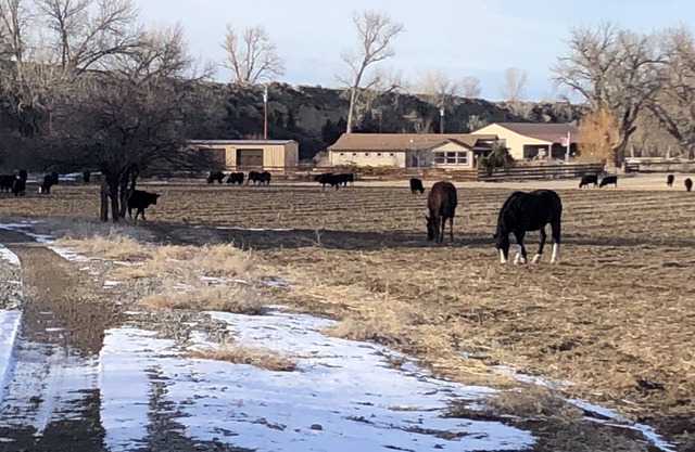 Belle maison privée Ranch Big Horn River
