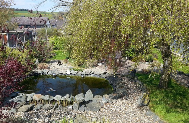 belle propriété avec 2 gîtes, sauna, lisière de forêt, endroit calme