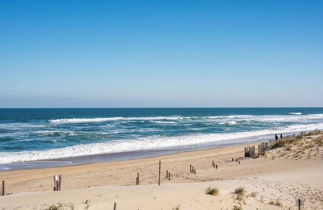 Stunning Pup-Friendly Oceanfront Resort with Gym, Pool & Games! Well Stocked!