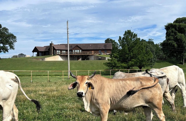Belle maison de campagne surplombant le Ranch Barnes.
