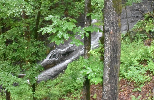 Belle cabane privée dans les bois à côté d'une cascade