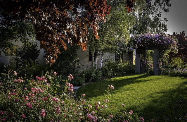 Belle Rose Cottage dans Wine Country-Mid Week Special !!!!!