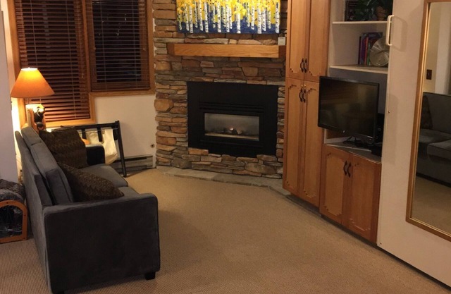 Beautiful Ski In / Ski Out Studio Condo * PAS DE FRAIS DE NETTOYAGE *