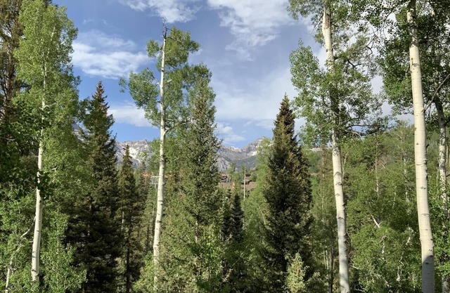 Beautiful ski-in/ski-out condo with creek and mountain views