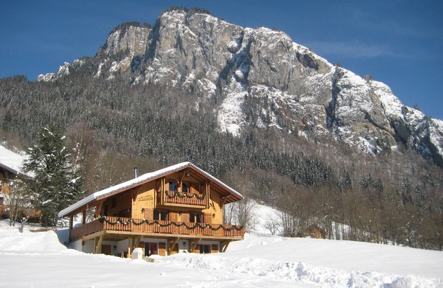 Belle, spacieuse chalet de 12 personnes, Portes du Soleil, France