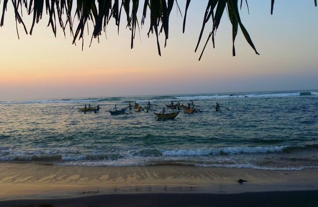 Belle Sri Lanka Accueil