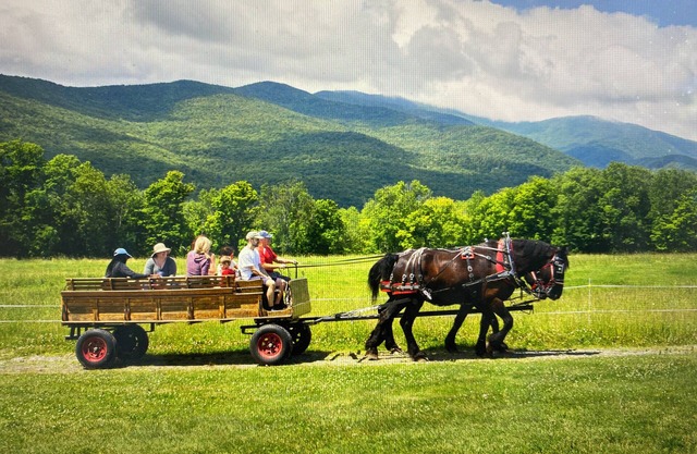 Beautiful Stowe VT Resort-Deluxe Guesthouse Available for Peak Summer Week