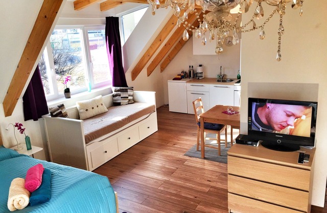 Beau studio dans la ville de Salzbourg, jardin au rez-de-chaussée