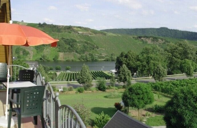 belle vue dégagée sur la Moselle et sa Loreley au milieu des vignes