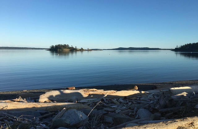 Belle vue sur l'eau, Friday Harbor