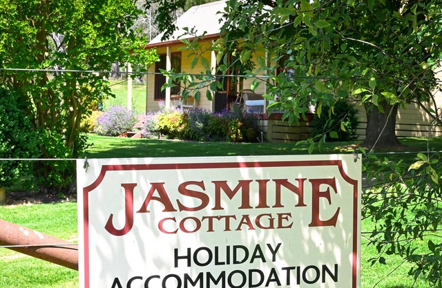 Cottage Jasmine, Jingellic