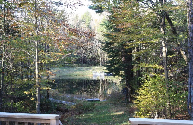 Becket Cottage contemporain dans les bois surplombant un étang privé printanier