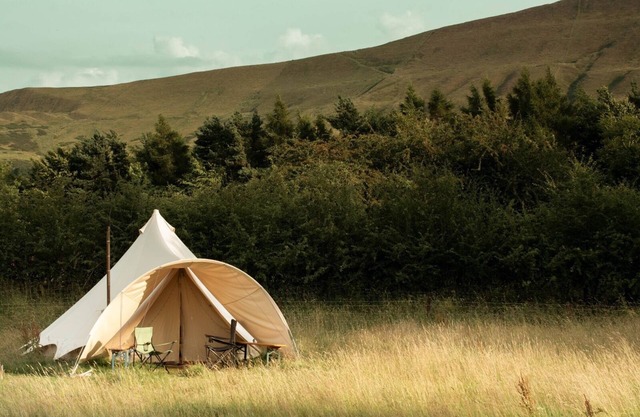 Become Wild, Edale