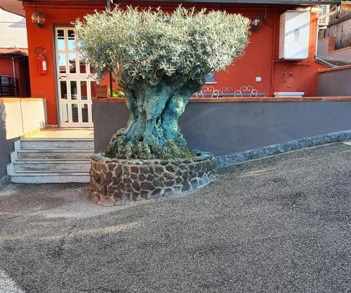 Bed & Breakfast Neapolis