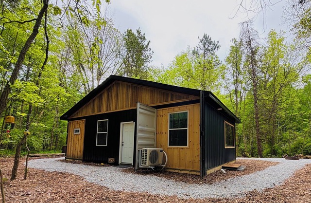 Beehive shipping container cabin surrounded by nature and a pond
