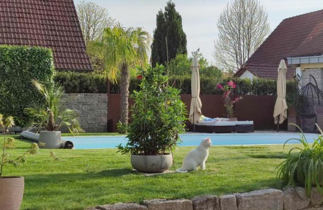 Bel giardino