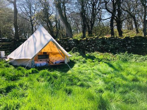 Bell Tent Carreglwyd Estate Anglesey