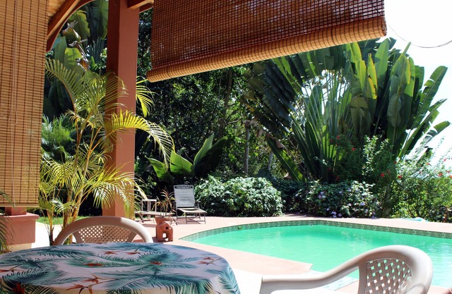 Bella Vista Parc Ballena