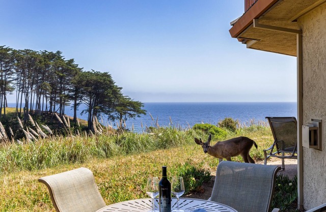 Bella Vista by the Sea - Ground Level with a View on the North Bluff.