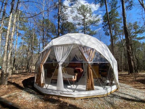 Beloved Cabin - Artistic Dome