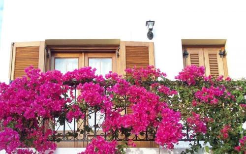 Benigna Studios