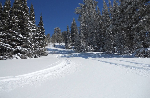 Meilleure affaire!! 3BR / 3BA Ski-in / out At Powder Mountain - Hébergement rare au pied des pistes