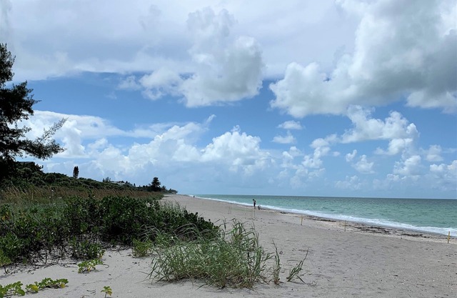 Beachfront Cottage sur North Manasota Key, pour 4 personnes