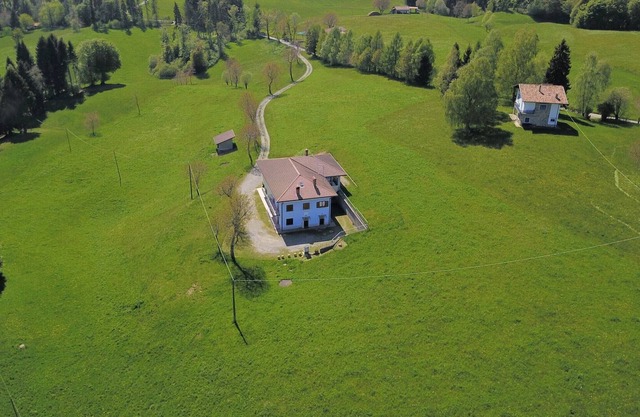 between woods and meadows