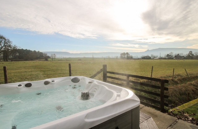 Bicton Lea, CLUN