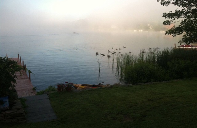 grande maison d'ours sur le lac george