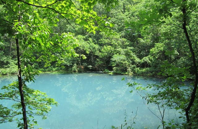 Big Hollow Retreat sur le ruisseau Sinking