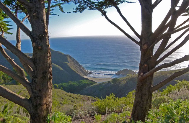 Big Sur | 'On a Clear Ridge vous pouvez voir pour toujours. "