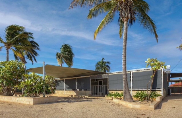 Billfish - Close to town and across from bushland
