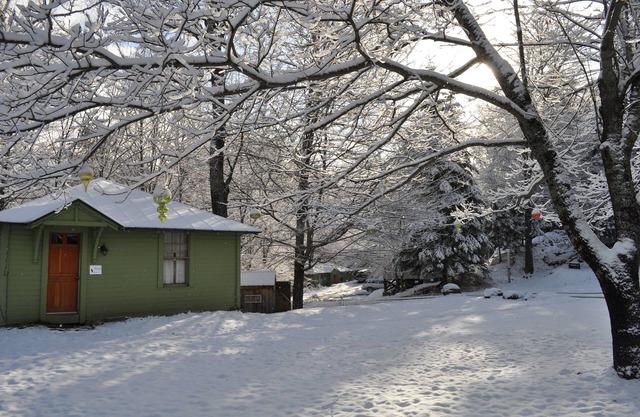 Birch Cottage - Parfait pour un séjour court ou long!