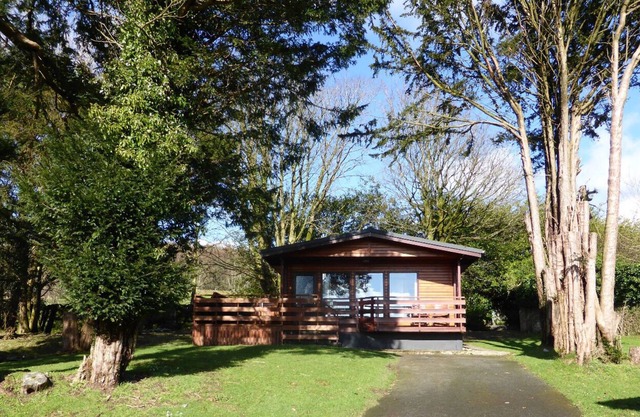 Birch Lodge 23 with Hot Tub, Newton Stewart