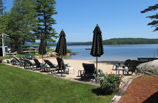 Les bouleaux aux camps de Gilmore sur le lac Kezar