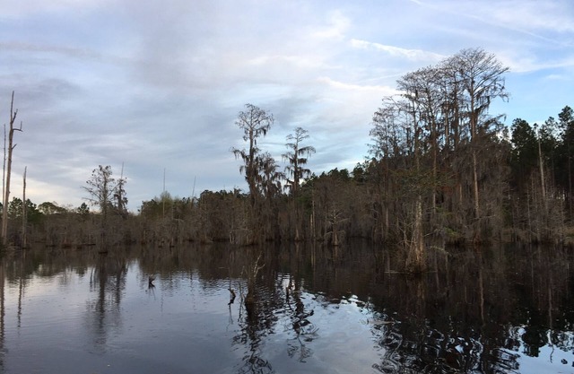 Cabine de Blackshear sur le lac