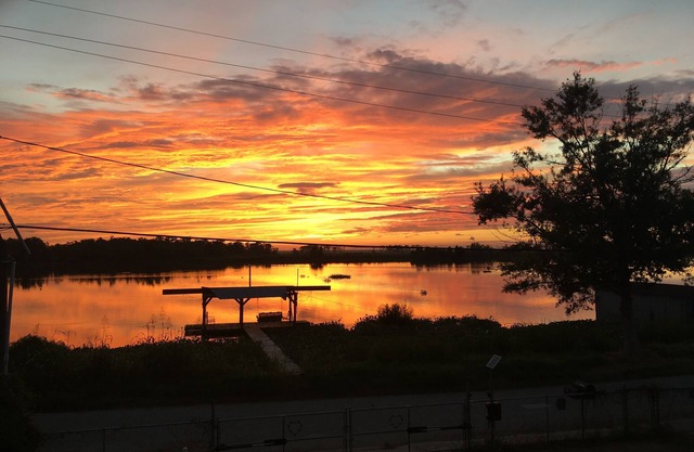 "Blue Bayou" just 28 minutes from New Orleans
