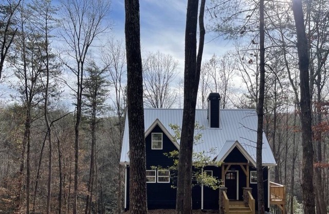 Blue Bear Cottage - NEW cabin centrally located in North Georgia wine country.