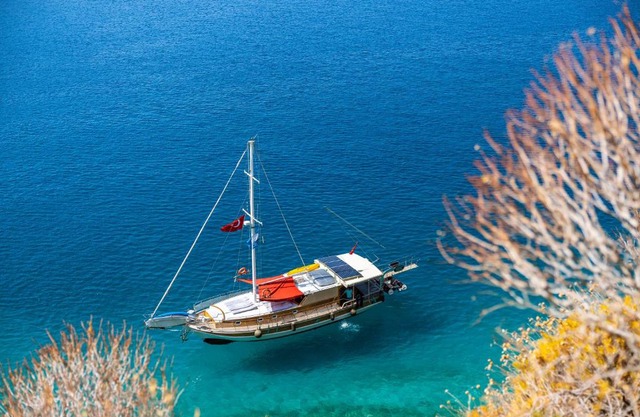 Blue Cruise