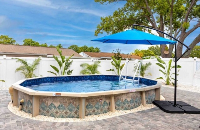 Blue Dolphin