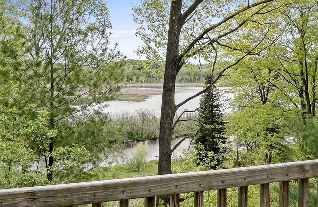 Wooded Retreat with Views Of Stony Lake