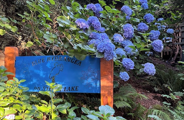 BLUE HYDRANGEA LAKESIDE RETREAT SNOHOMISH WA près de Seattle, Puget Sound