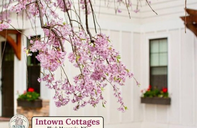 Blue Ridge Getaway & Spa ~ King | Sauna | Walkable
