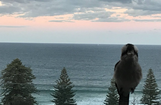 Villa Blue Seas, vue magnifique sur la plage et l'océan