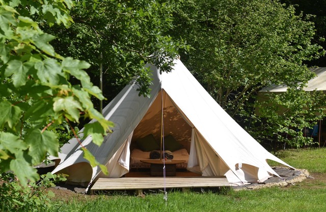Bluebell Brook Camp Secluded camping in 13 acres of magical meadow and woodland.