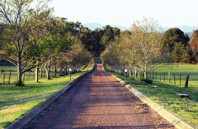 Blueberry Hill Vineyard Stay