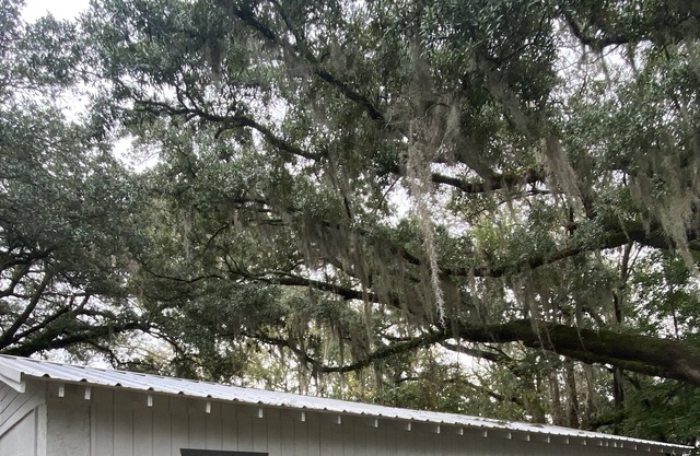 Bluffton Lodging surrounded by Lowcountry Landscape