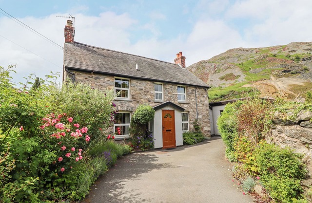 Bodywen, LLANGYNOG