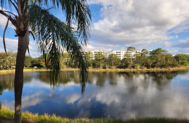 Superbe escapade Bonita Springs / Naples en Floride. 5 minutes de la plage!